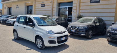 Fiat Panda 1.2 Easy usata