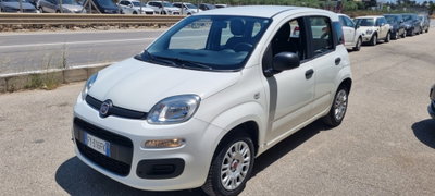 Fiat Panda 1.2 Easy (2)