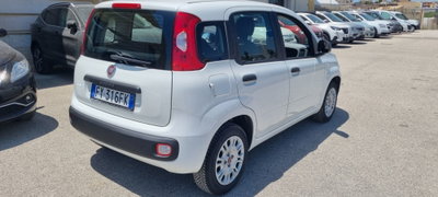 Fiat Panda 1.2 Easy (3)