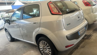 Fiat Punto Evo 1.4 5 porte Active Natural Power (5)