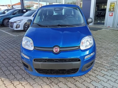 Fiat Panda 1.0 firefly hybrid Pop s&s 70cv (8)