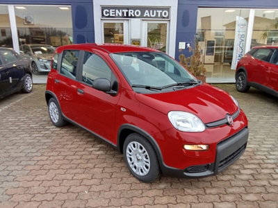 Fiat Panda 1.0 firefly hybrid Icon s&s 70cv nuova