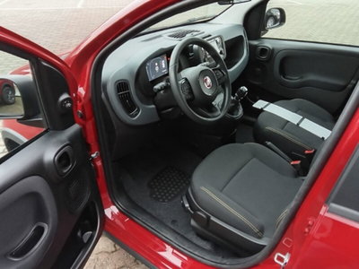 Fiat Panda 1.0 firefly hybrid Icon s&s 70cv (11)