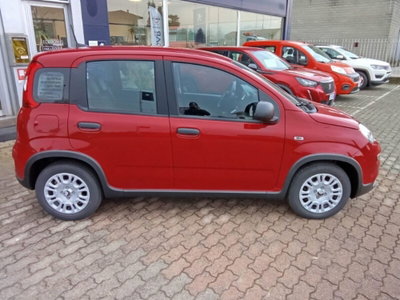 Fiat Panda 1.0 firefly hybrid Icon s&s 70cv (2)