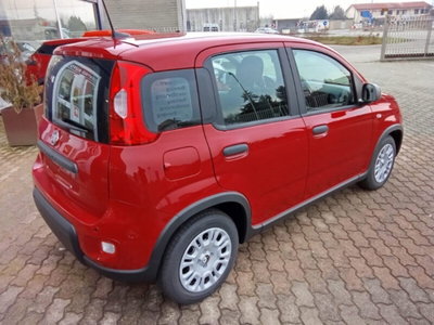 Fiat Panda 1.0 firefly hybrid Icon s&s 70cv (3)