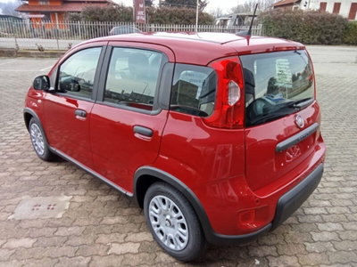 Fiat Panda 1.0 firefly hybrid Icon s&s 70cv (5)