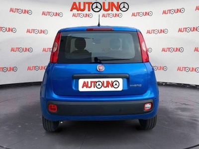 Fiat Panda Cross Cross 1.0 FireFly S&S Hybrid (5)