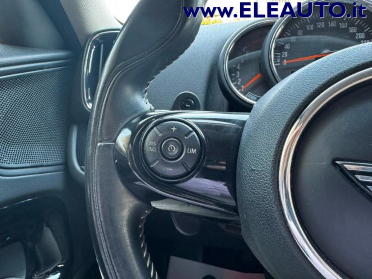MINI Mini Countryman 2.0 Cooper S Hype Countryman ALL4 (12)