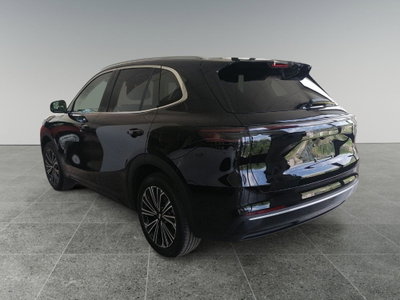 Geely Starray Starray EM-i 1.5 phev Launch Edition auto (3)