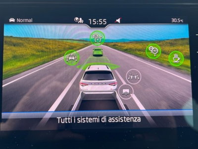 Skoda Kodiaq 2.0 TSI 4x4 DSG 7 posti RS (16)