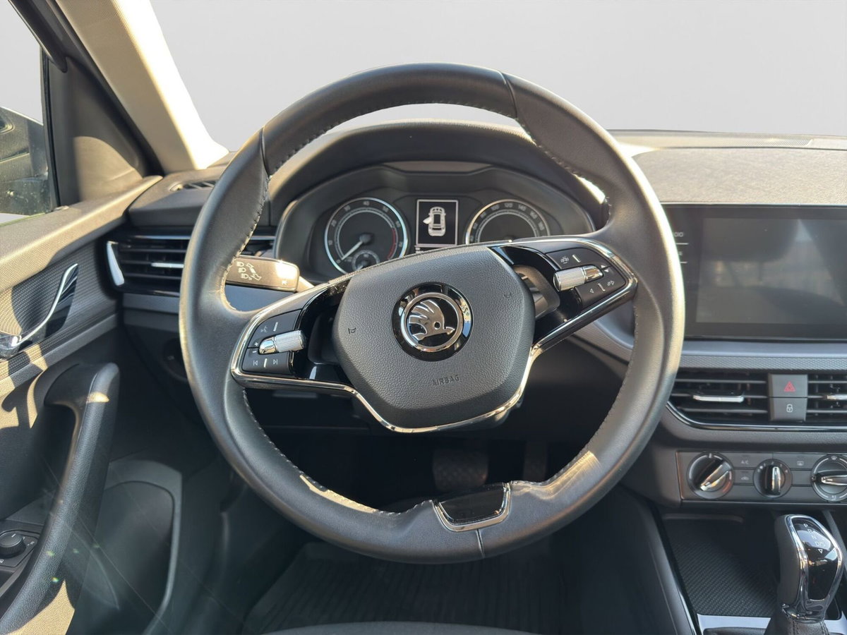 Skoda Kamiq 1.0 TSI 110 CV DSG Ambition (11)
