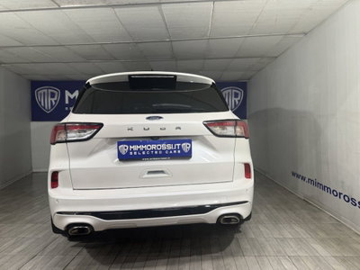 Ford Kuga 2.0 EcoBlue 120 CV aut. 2WD ST-Line X (11)
