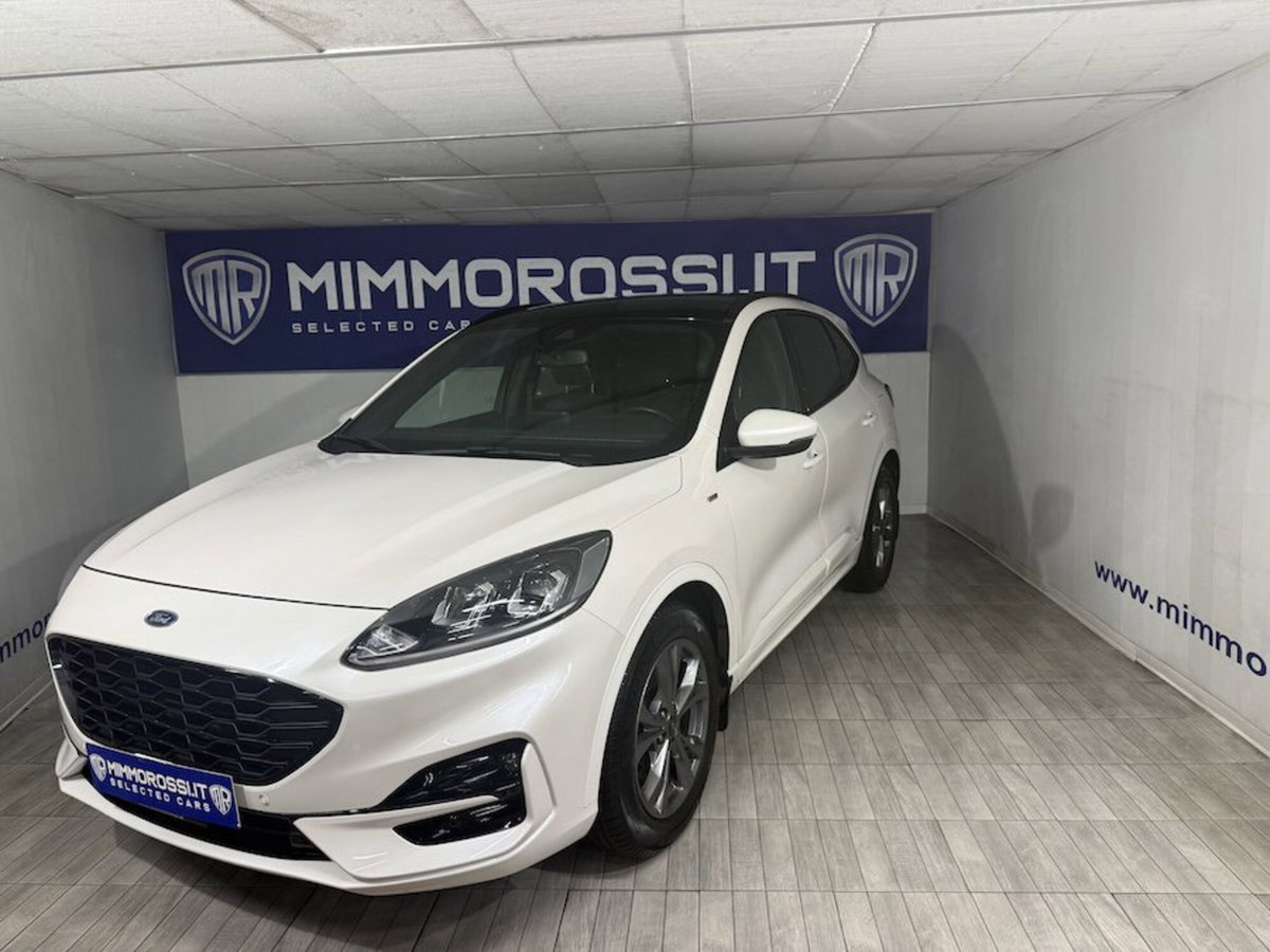 Ford Kuga 2.0 EcoBlue 120 CV aut. 2WD ST-Line X (6)