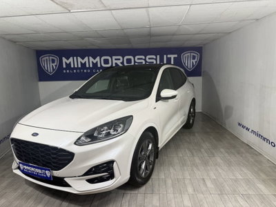 Ford Kuga 2.0 EcoBlue 120 CV aut. 2WD ST-Line X (6)