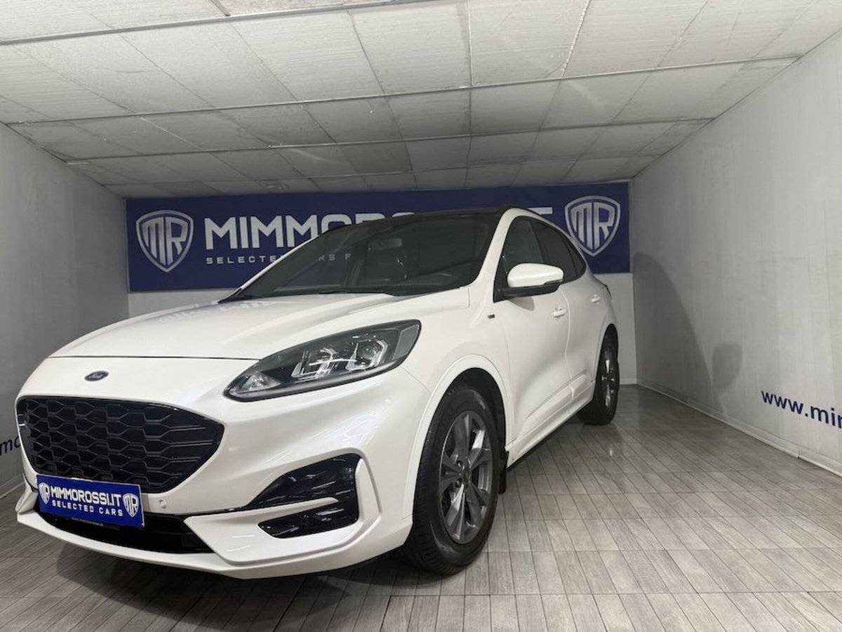 Ford Kuga 2.0 EcoBlue 120 CV aut. 2WD ST-Line X (7)