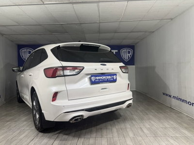 Ford Kuga 2.0 EcoBlue 120 CV aut. 2WD ST-Line X (9)