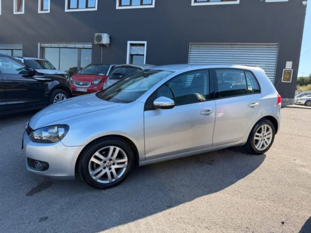 Volkswagen Golf Plus 1.6 Blue-T (9)