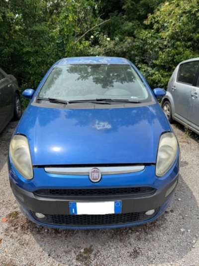 Fiat Punto Evo 1.3 Mjt 75 CV DPF 3 porte S&S 150° usata