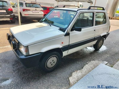 Fiat Panda 1100 i.e. cat Young (2)