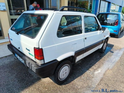 Fiat Panda 1100 i.e. cat Young (5)