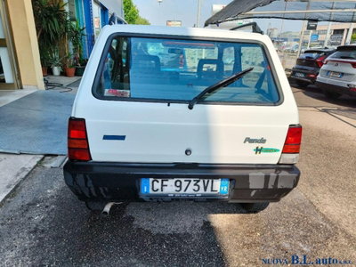 Fiat Panda 1100 i.e. cat Young (8)