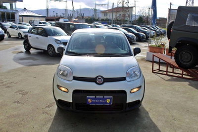 Fiat Panda 1.0 firefly hybrid Pop s&s 70cv (2)