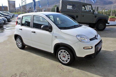 Fiat Panda 1.0 firefly hybrid Pop s&s 70cv (3)