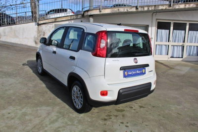 Fiat Panda 1.0 firefly hybrid Pop s&s 70cv (7)