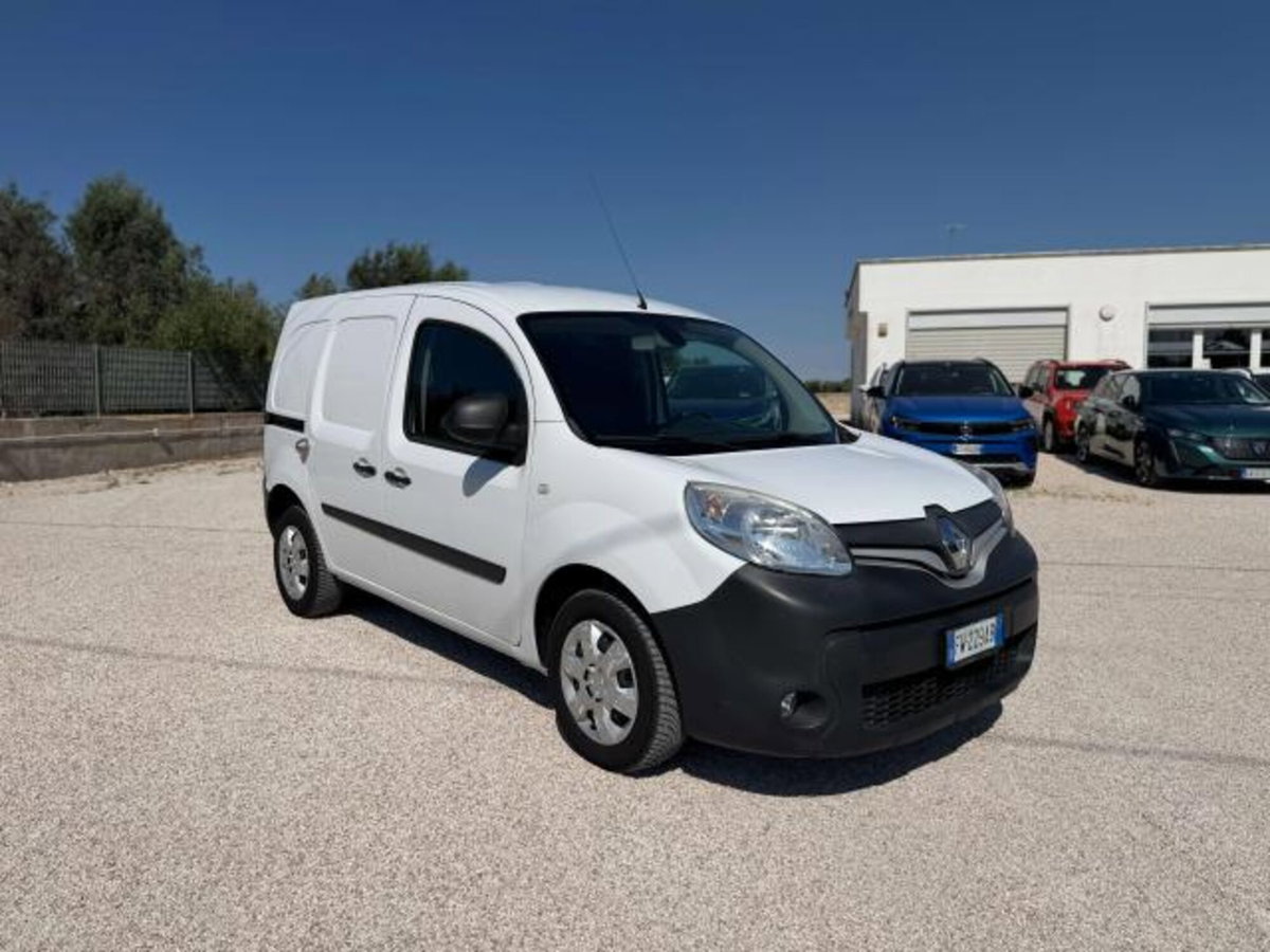 Renault Kangoo 1.5 dCi 90CV 5 porte Live (3)