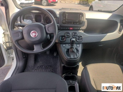 Fiat Panda 1.0 firefly hybrid s&s 70cv 5p.ti (9)