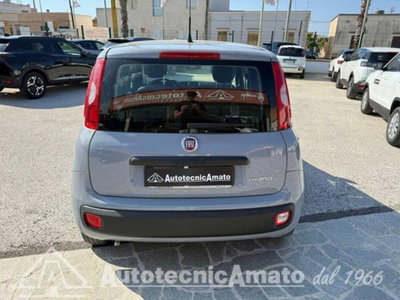 Fiat Panda 1.0 firefly hybrid s&s 70cv 5p.ti (10)