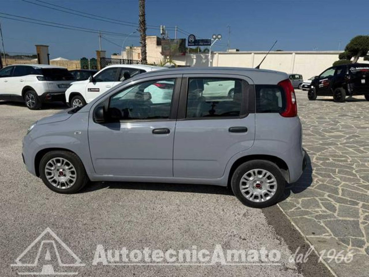 Fiat Panda 1.0 firefly hybrid s&s 70cv 5p.ti (4)