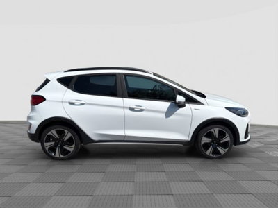 Ford Fiesta 1.0 Ecoboost Hybrid 125 CV DCT 5 porte Active (6)