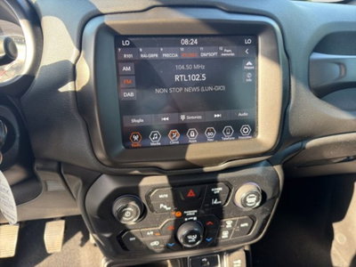 Jeep Renegade 1.6 Mjt 130 CV Limited (17)