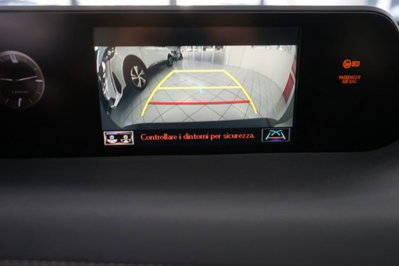 Lexus UX Hybrid Business (10)