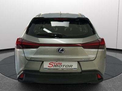 Lexus UX Hybrid Business (18)