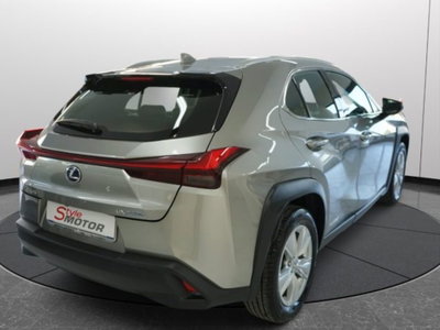 Lexus UX Hybrid Business (2)