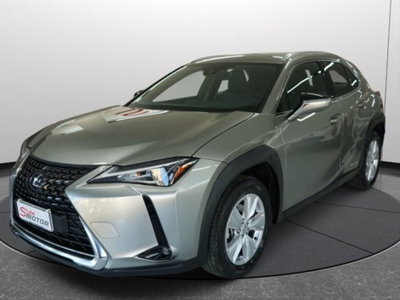 Lexus UX Hybrid Business (20)
