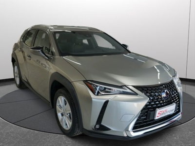 Lexus UX Hybrid Business (3)