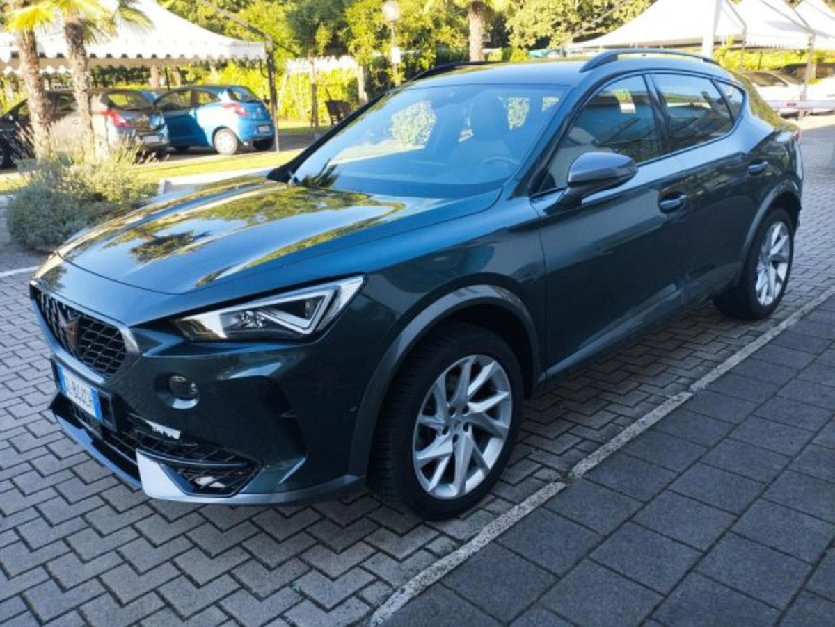 Cupra Formentor Formentor 1.5 TSI (5)