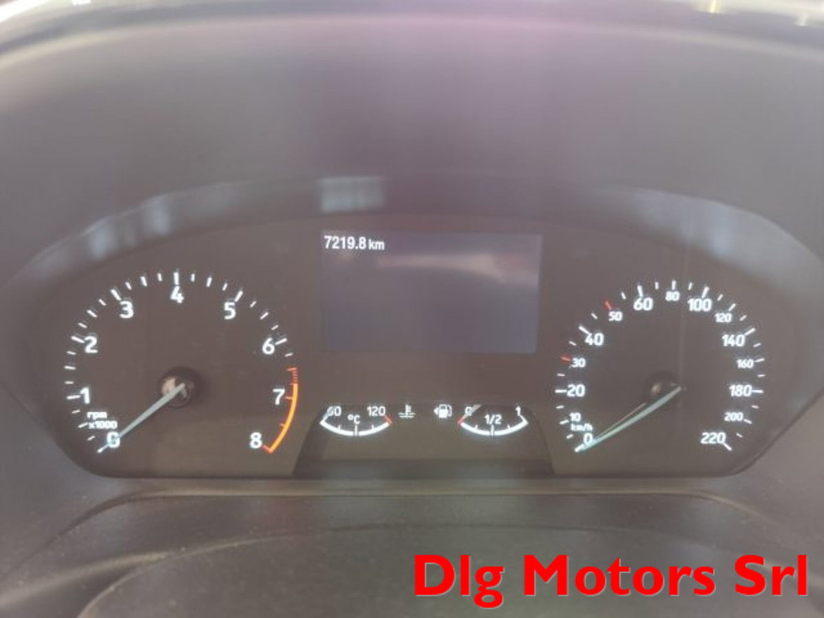 Ford Fiesta 1.0 Ecoboost Hybrid 125 CV DCT 5 porte Active (14)