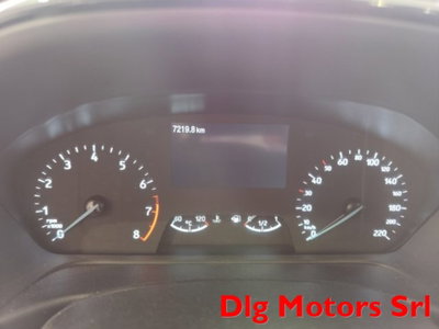 Ford Fiesta 1.0 Ecoboost Hybrid 125 CV DCT 5 porte Active (14)