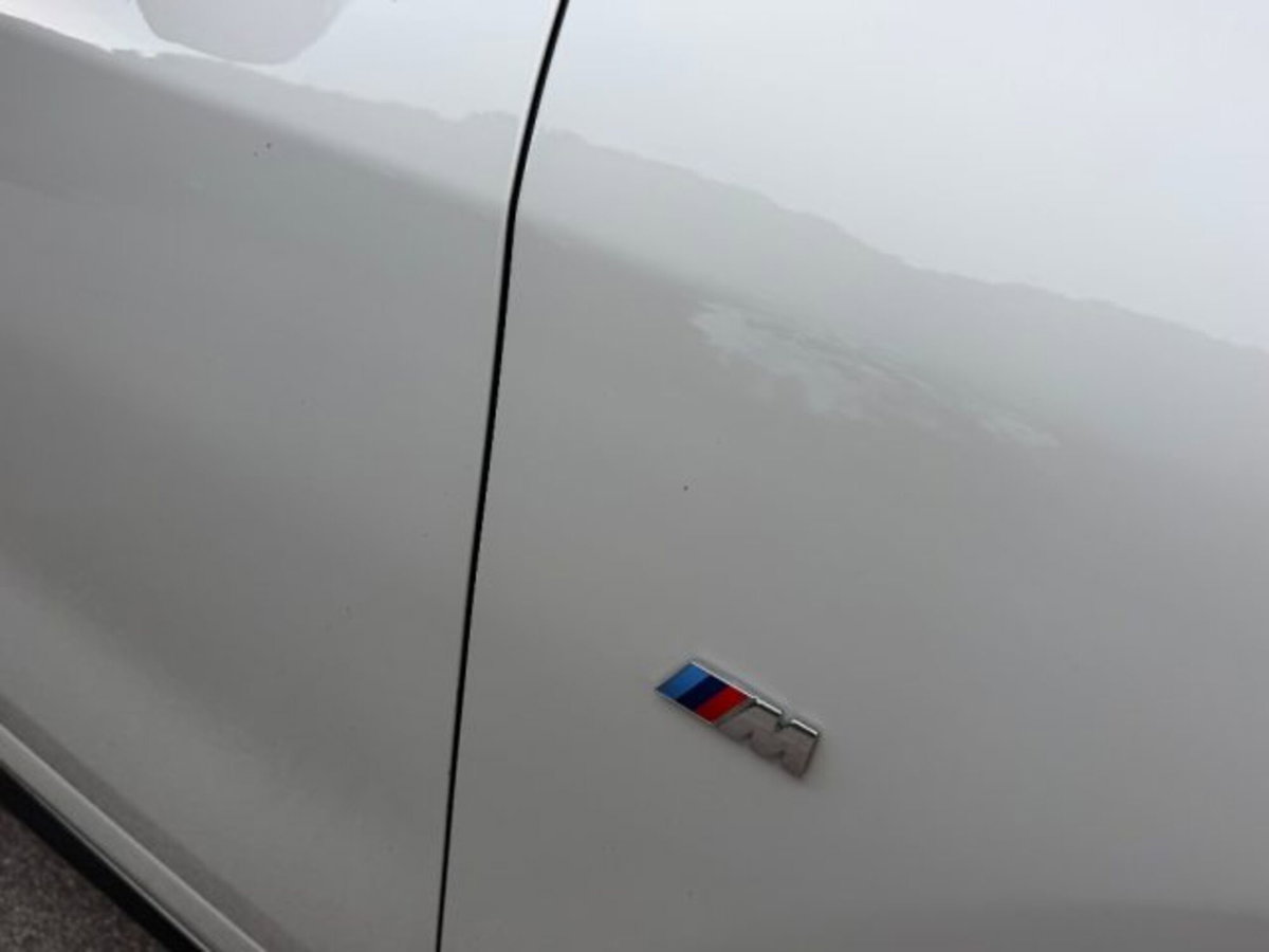 BMW X2 sdrive 18d MSport auto (10)