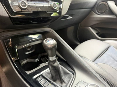 BMW X2 sdrive 18d MSport auto (17)