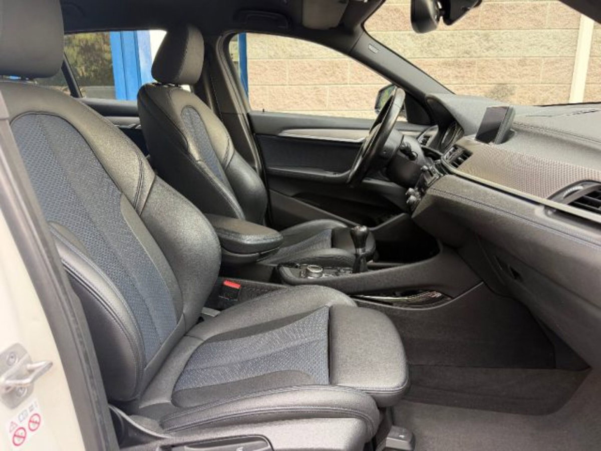 BMW X2 sdrive 18d MSport auto (19)
