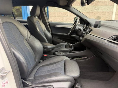 BMW X2 sdrive 18d MSport auto (19)
