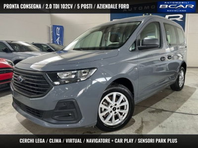 Ford Tourneo Connect 2.0 EcoBlue 102 CV Plus usata