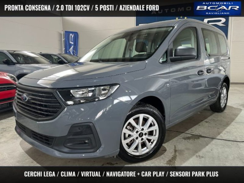 Ford Tourneo Connect 2.0 EcoBlue 102 CV Plus