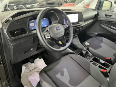 Ford Tourneo Connect 2.0 EcoBlue 102 CV Plus (15)