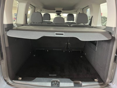 Ford Tourneo Connect 2.0 EcoBlue 102 CV Plus (18)